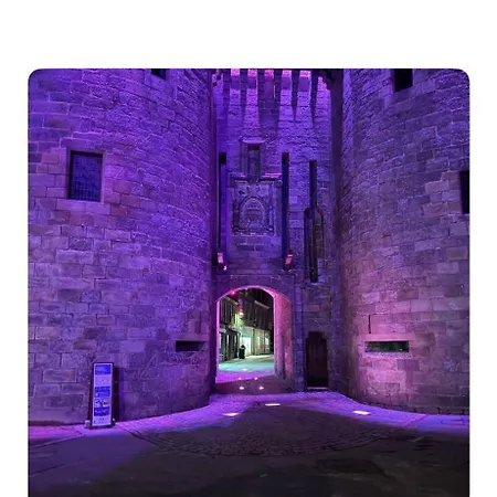 公寓 Les Remparts De 盖朗德